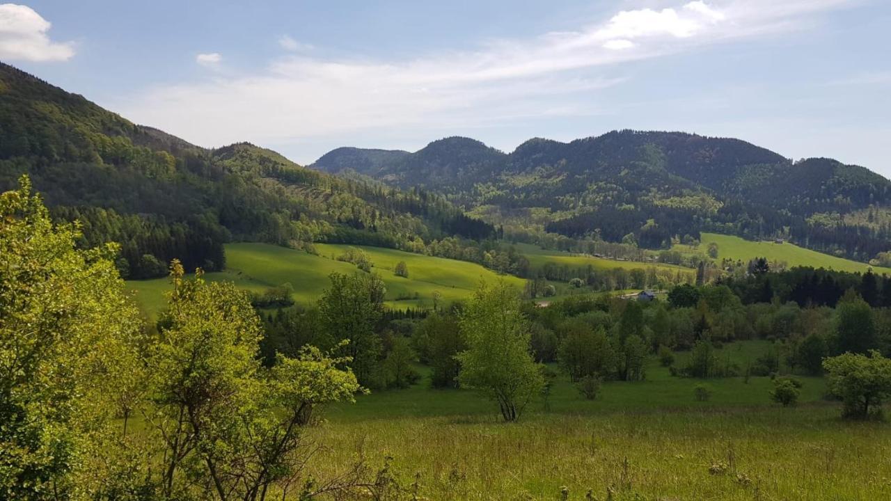 Sloneczne Apartamenty Sokolowsko Exteriér fotografie