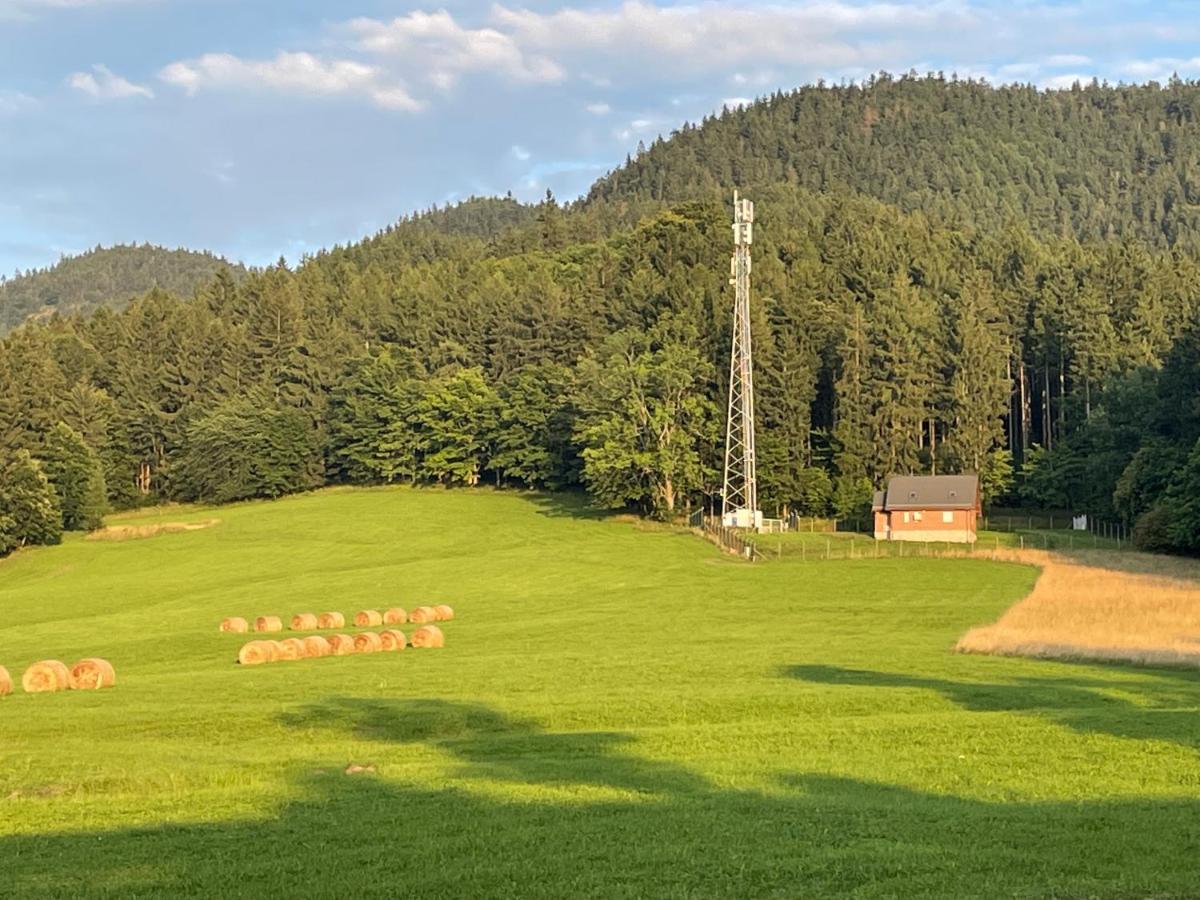 Sloneczne Apartamenty Sokolowsko Exteriér fotografie
